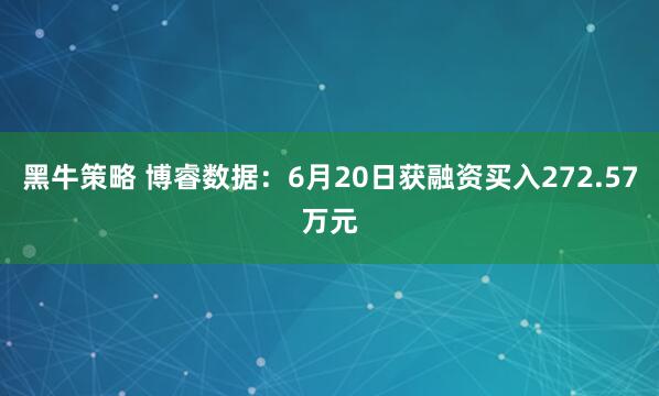黑牛策略 博睿数据：6月20日获融资买入272.57万元