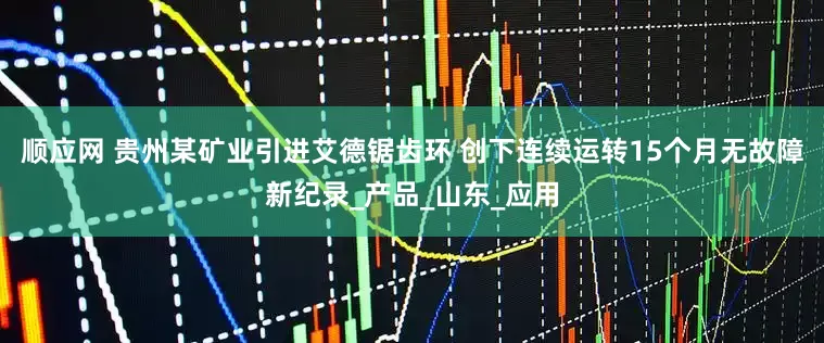 顺应网 贵州某矿业引进艾德锯齿环 创下连续运转15个月无故障新纪录_产品_山东_应用