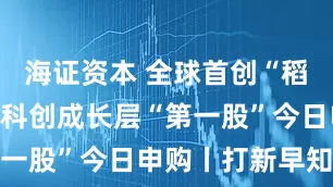 海证资本 全球首创“稻米造血”，科创成长层“第一股”今日申购丨打新早知道
